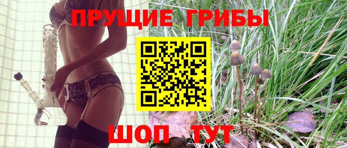 Галлюциногенные грибы Magic Shrooms  Вход с VPN  Томск 
