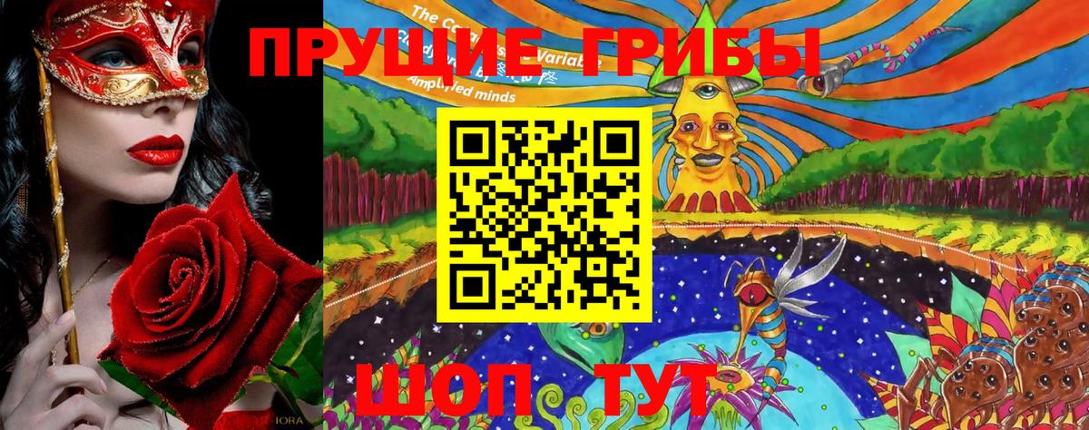 Галлюциногенные грибы прущие грибы Томск